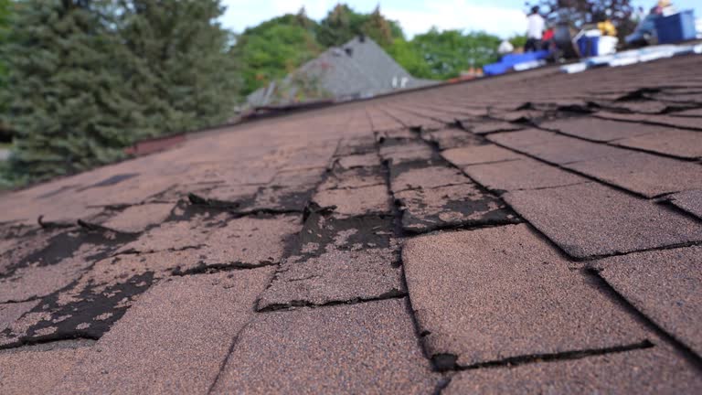 Best Roof Ventilation Installation  in Billings, MT